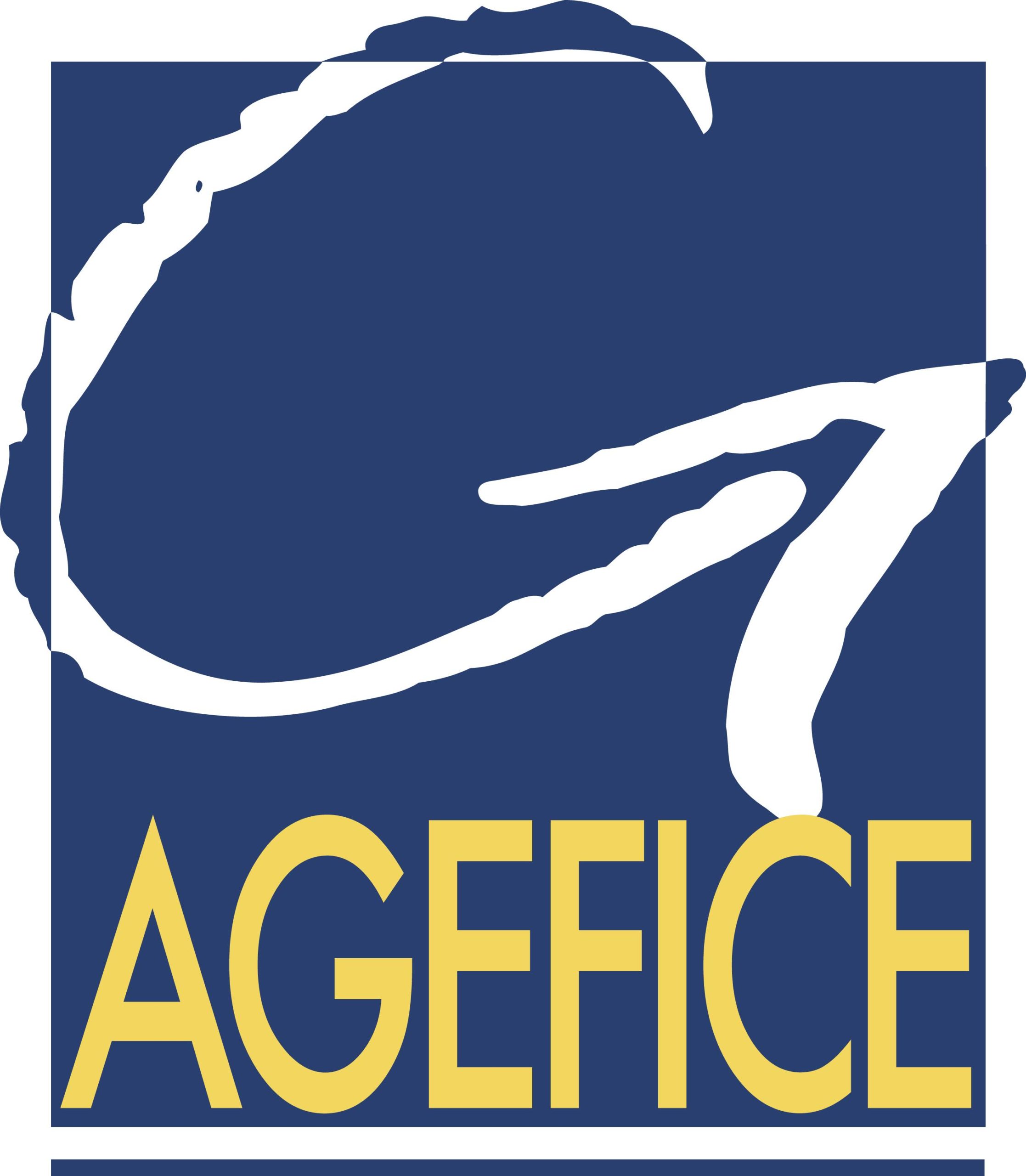 LOGO-AGEFICE-1